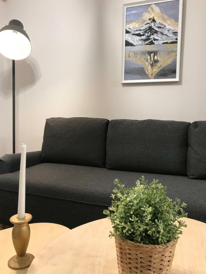 Apartament City Mall Сибиу Экстерьер фото